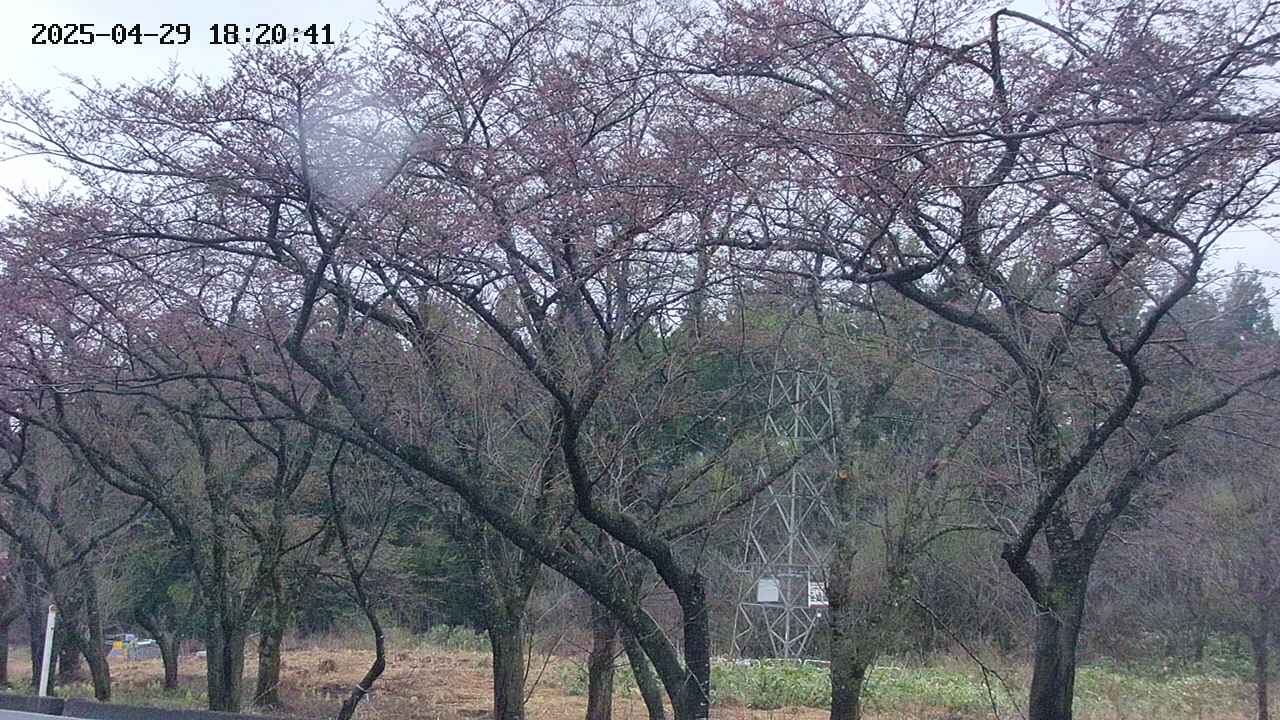 takano3-20250429182043.jpg