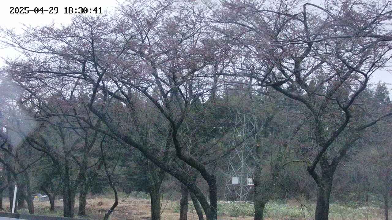 takano3-20250429183042.jpg
