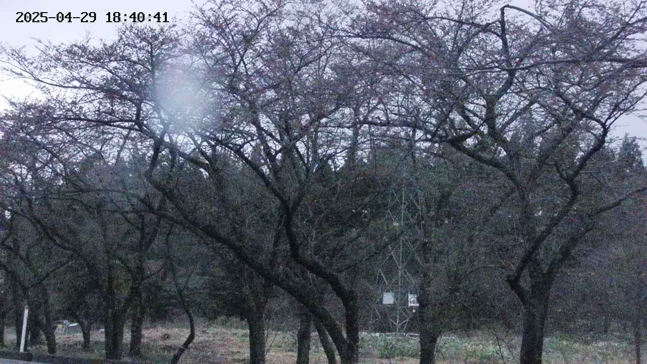 takano3-20250429184043.jpg