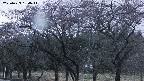 takano3-20250429184043.jpg