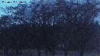 takano3-20250429185043.jpg