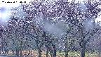 takano3-20250430054042.jpg