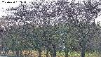 takano3-20250430062043.jpg