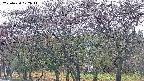 takano3-20250430072043.jpg
