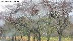 takano3-20250430093044.jpg