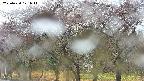 takano3-20250430121044.jpg