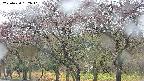 takano3-20250430132045.jpg