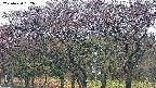 takano3-20250430182045.jpg