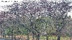 takano3-20250501052043.jpg