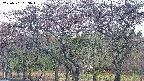 takano3-20250501053044.jpg