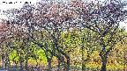 takano3-20250501054044.jpg