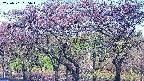 takano3-20250501055044.jpg