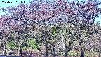 takano3-20250501061045.jpg