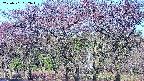 takano3-20250501062044.jpg