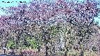 takano3-20250501063045.jpg