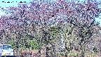 takano3-20250501064045.jpg