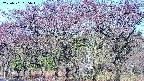 takano3-20250501065045.jpg