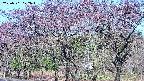 takano3-20250501072045.jpg