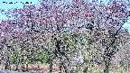 takano3-20250501074045.jpg
