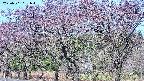takano3-20250501081045.jpg