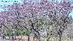 takano3-20250501082047.jpg