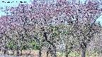 takano3-20250501083046.jpg