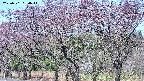 takano3-20250501084046.jpg