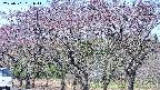 takano3-20250501091046.jpg