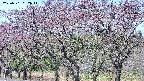takano3-20250501092045.jpg