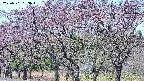 takano3-20250501093045.jpg