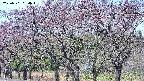 takano3-20250501094044.jpg