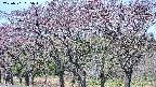 takano3-20250501095043.jpg