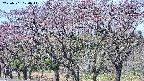 takano3-20250501100046.jpg
