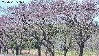 takano3-20250501103043.jpg
