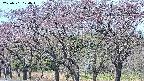takano3-20250501104044.jpg