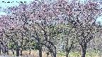 takano3-20250501105045.jpg