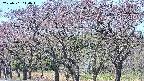 takano3-20250501110046.jpg