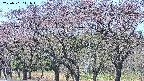 takano3-20250501111045.jpg