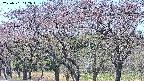 takano3-20250501112045.jpg