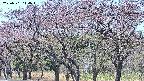 takano3-20250501114044.jpg