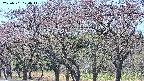 takano3-20250501120046.jpg