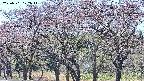 takano3-20250501122046.jpg