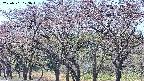 takano3-20250501123045.jpg