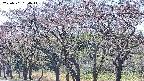 takano3-20250501130045.jpg