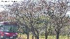 takano3-20250501140043.jpg