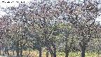takano3-20250501141045.jpg