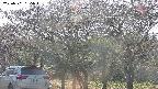 takano3-20250501155043.jpg