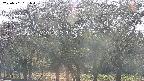 takano3-20250501161044.jpg