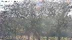 takano3-20250501163044.jpg