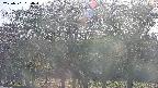 takano3-20250501164044.jpg